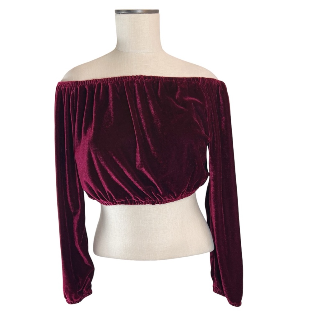 The Hanger Off The Shoulder Stretch Velvet Crop Top in Burgundy Whimsigoth